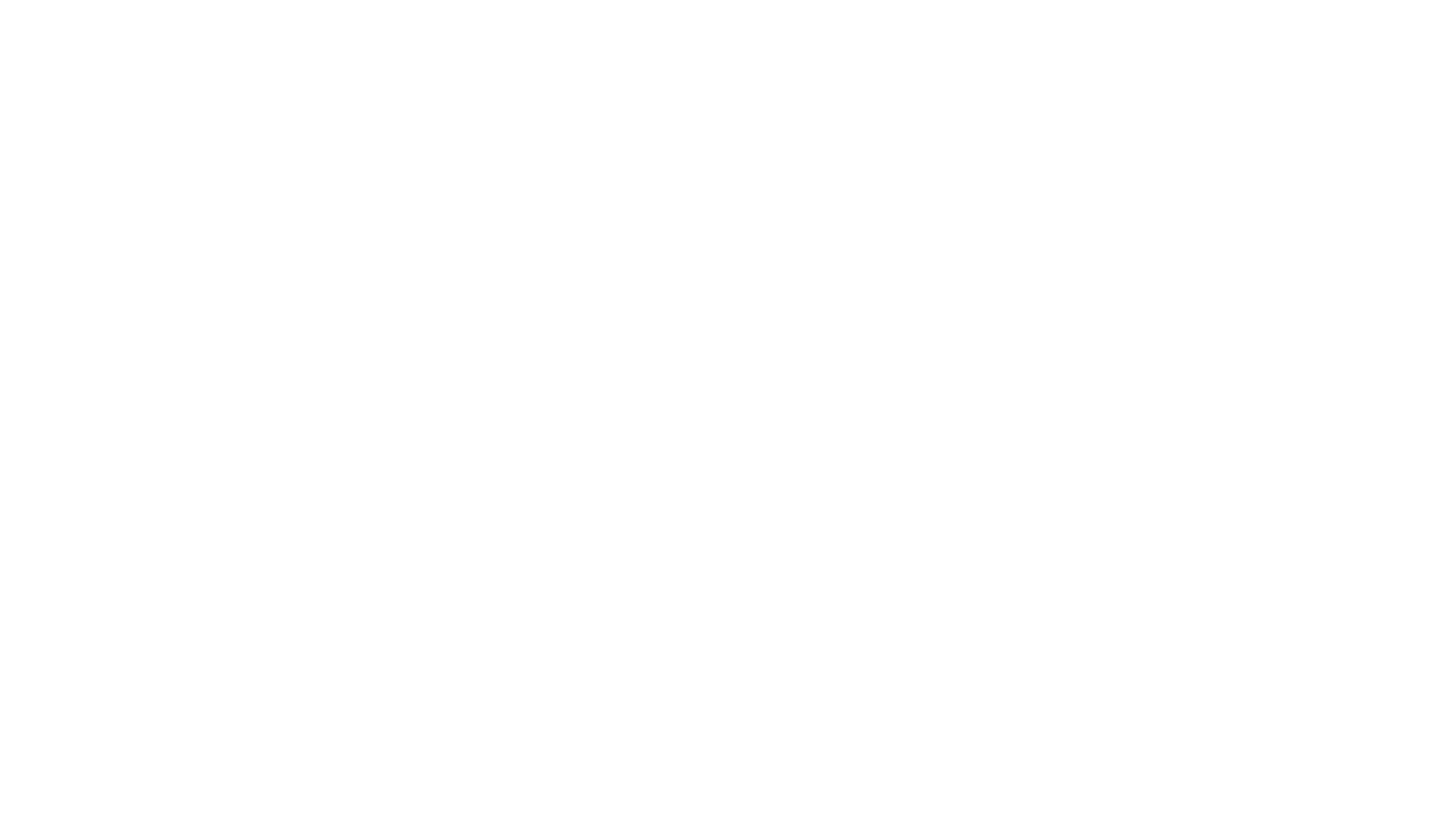 strobel_martin_clients_adidas2