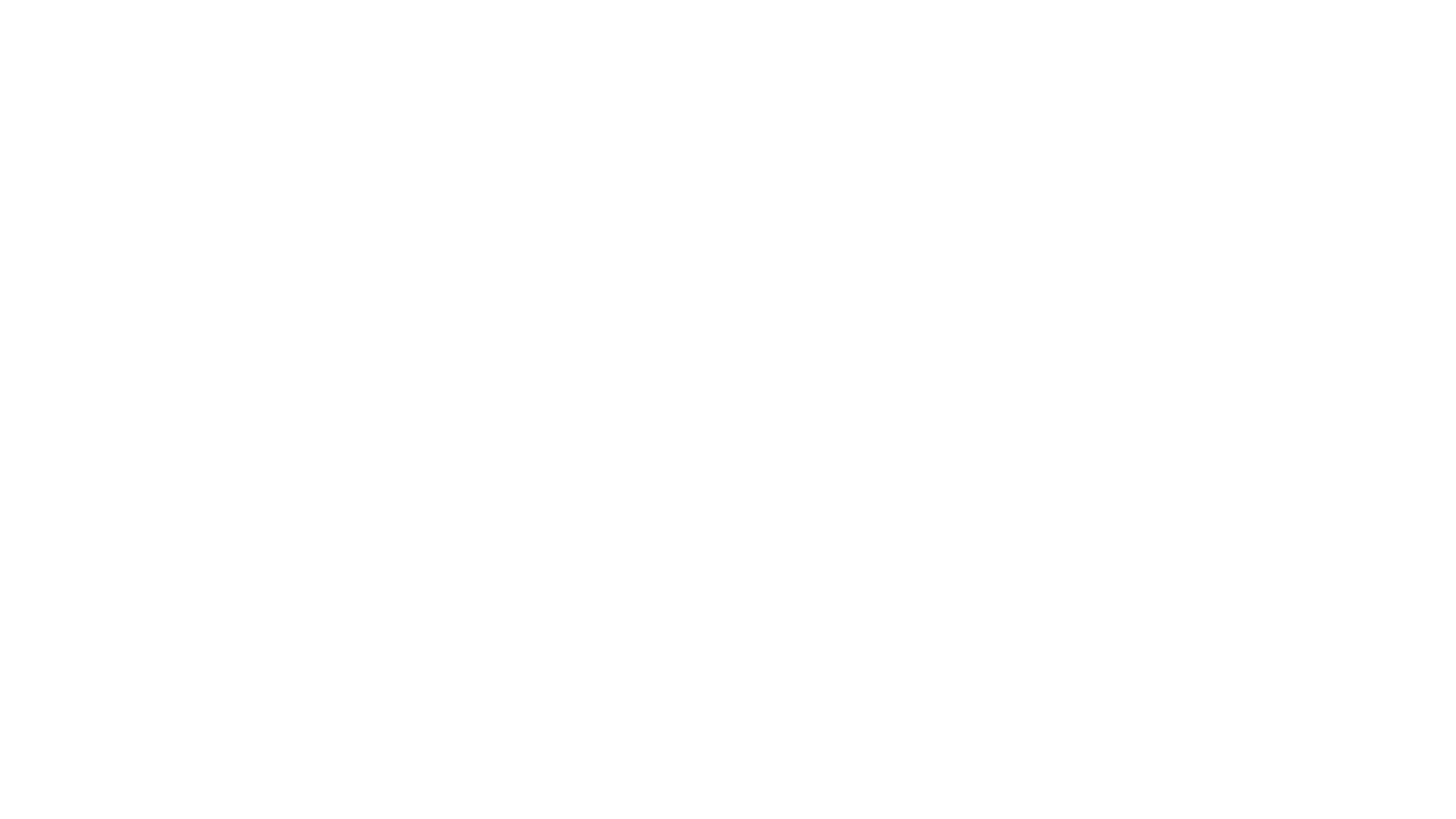 strobel_martin_clients_mcdonalds